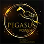 Logo Nicole Wegmüller Pegasusprojekt Logo Nicole Wegmüller Pegasusprojekt